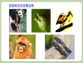济南版生物八下6.3.1 生物多样性（课件PPT）