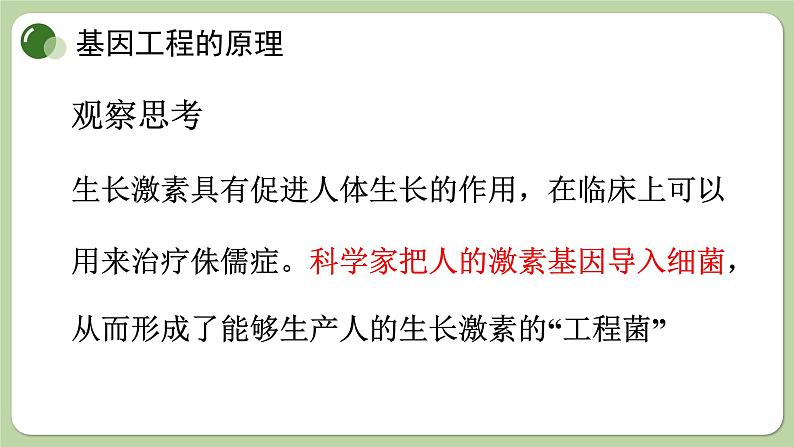 济南版生物八下7.2.1 基因工程（课件PPT）03