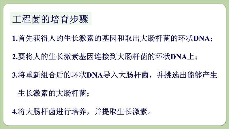 济南版生物八下7.2.1 基因工程（课件PPT）04