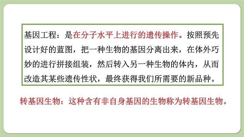 济南版生物八下7.2.1 基因工程（课件PPT）07