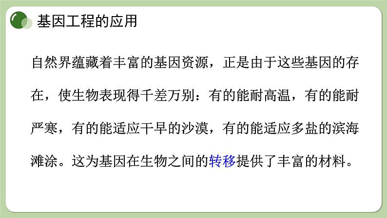 济南版生物八下7.2.1 基因工程（课件PPT）08