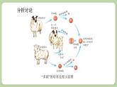 济南版生物八下7.2.2 克隆技术（课件PPT）