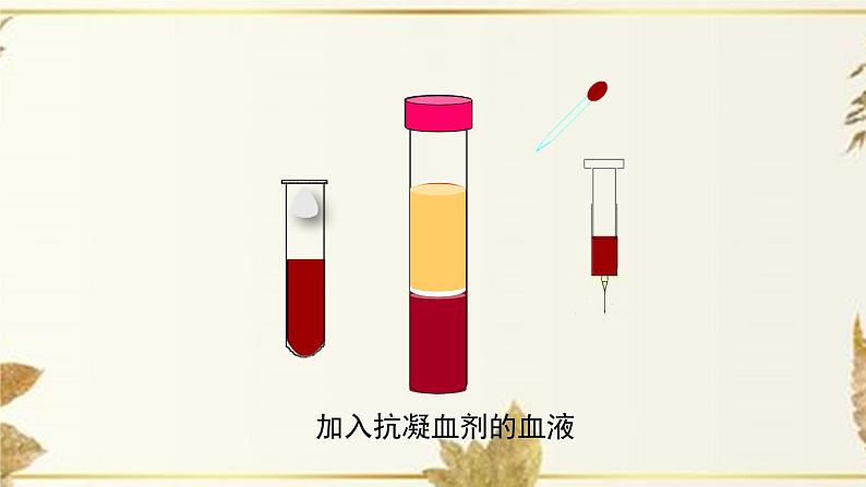 济南版生物七下3.1.1《物质运输的载体》课件PPT+音视频素材06