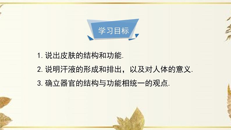济南版生物七下4.2《汗液的形成和排出》课件PPT03