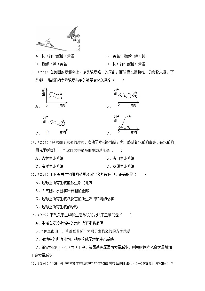 河南省开封市第五中学2023-2024学年七年级上学期月考生物试卷（9月份）03