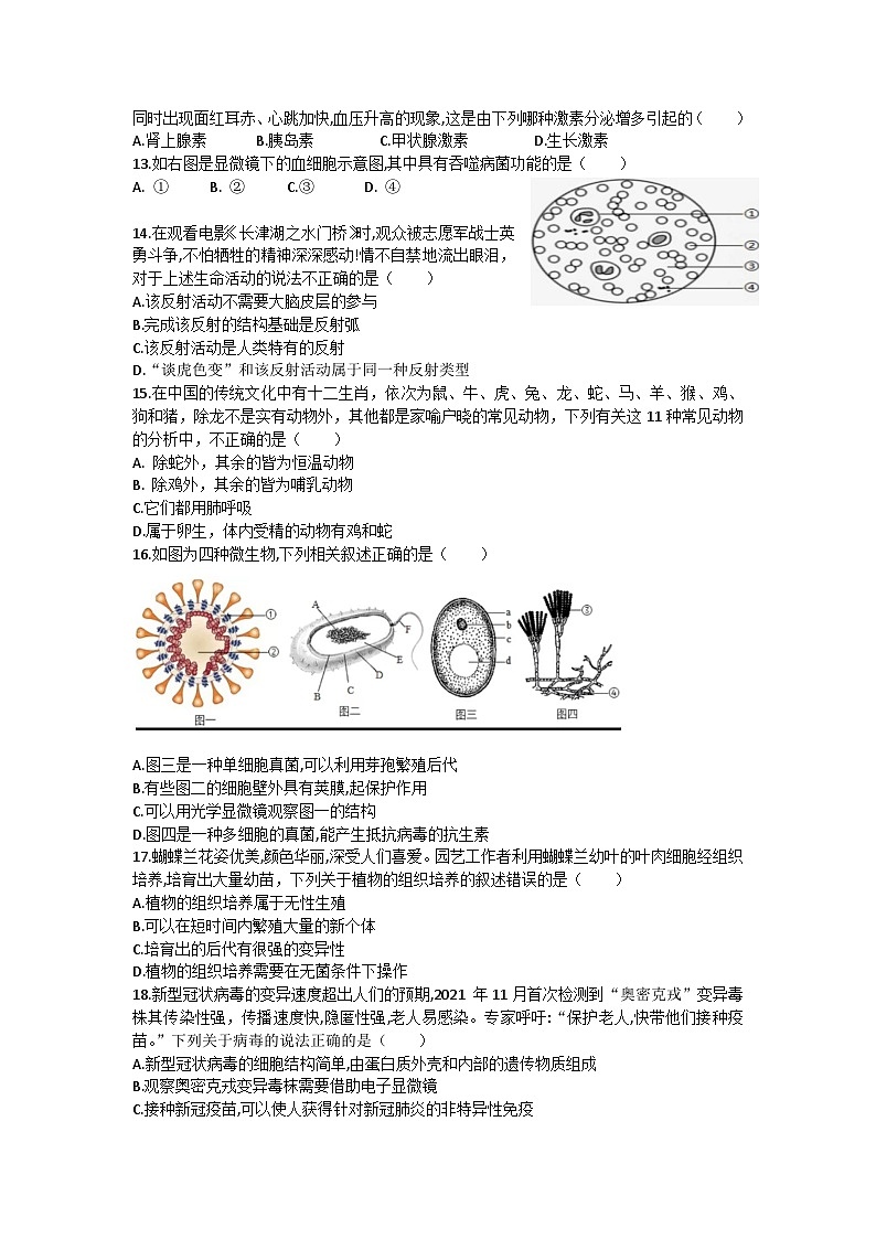 河南省信阳市新县2022-2023学年八年级下学期期中考试生物试题03
