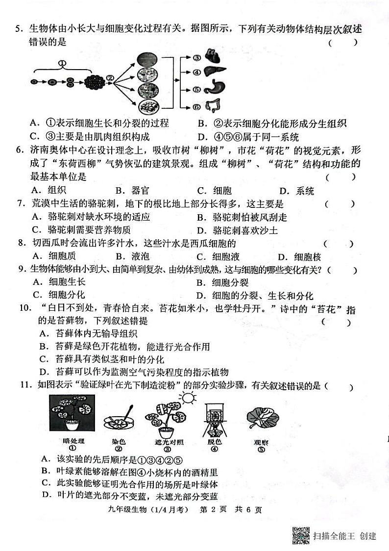 山东省菏泽市牡丹区王浩屯镇初级中学2023-2024学年九年级上学期10月月考生物试题第2页