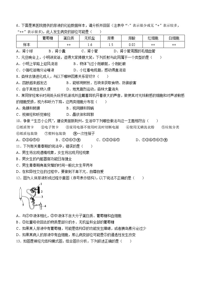 湖北省荆州市荆州区2022-2023学年七年级下学期期末生物试题02