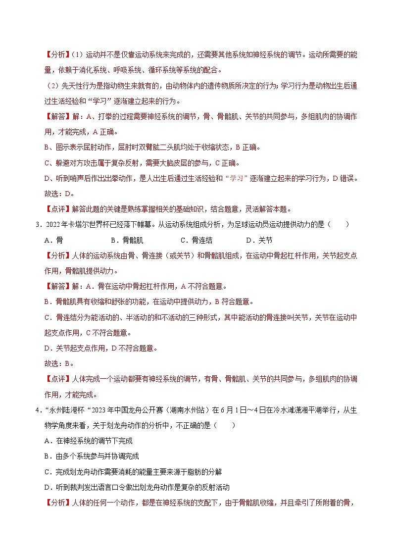【期中单元测试卷】（北师大版）2023-2024学年八年级生物上册 第15章 动物的运动 -试卷02