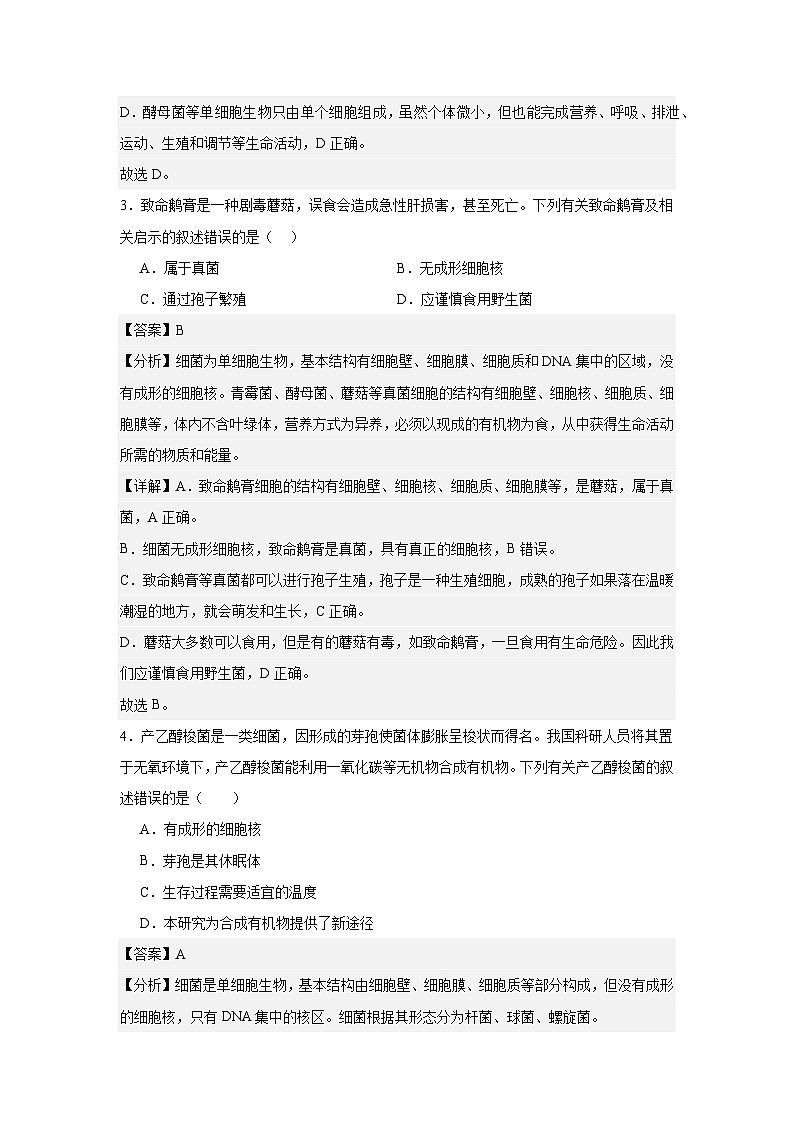 【期中单元测试卷】（人教版）八年级生物上册 第四章+细菌和真菌【基础卷】02