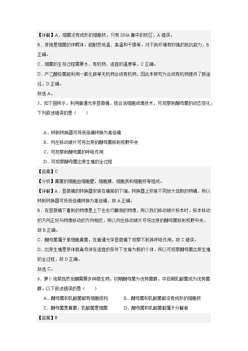 【期中单元测试卷】（人教版）八年级生物上册 第四章+细菌和真菌【基础卷】03