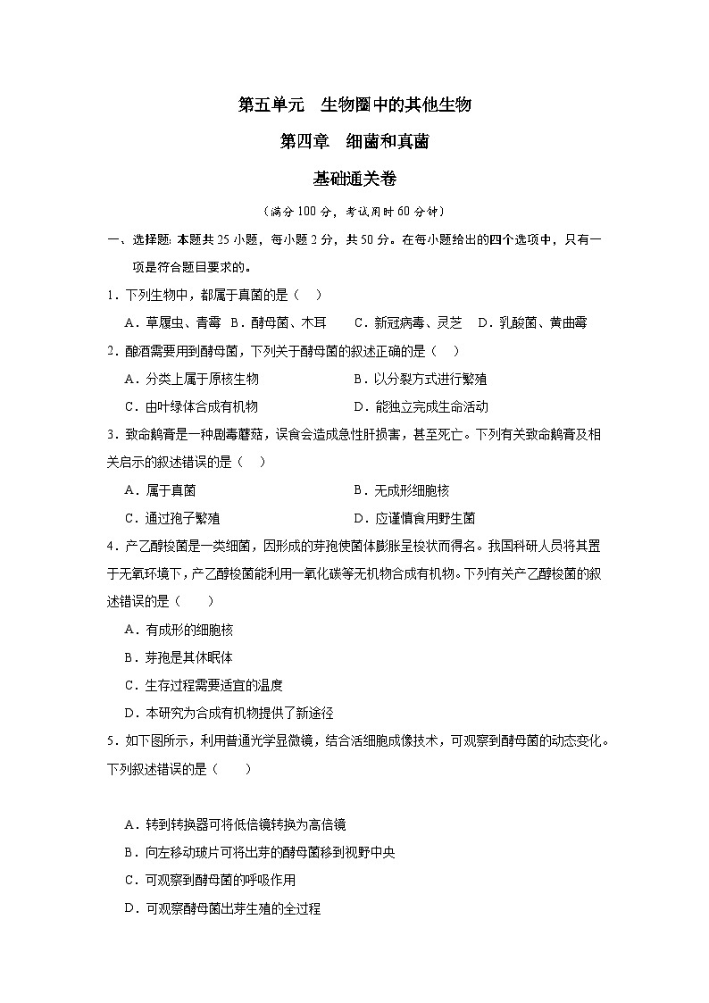 【期中单元测试卷】（人教版）八年级生物上册 第四章+细菌和真菌【基础卷】01