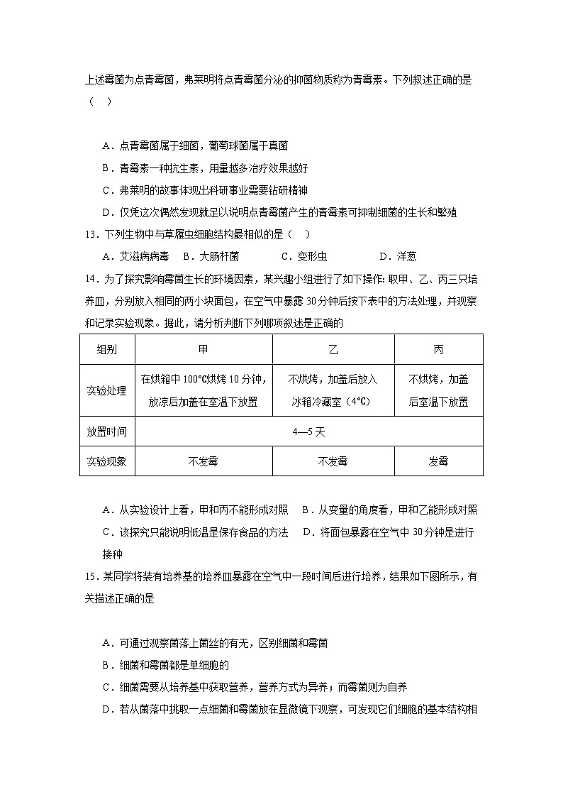 【期中单元测试卷】（人教版）八年级生物上册 第四章+细菌和真菌【基础卷】03