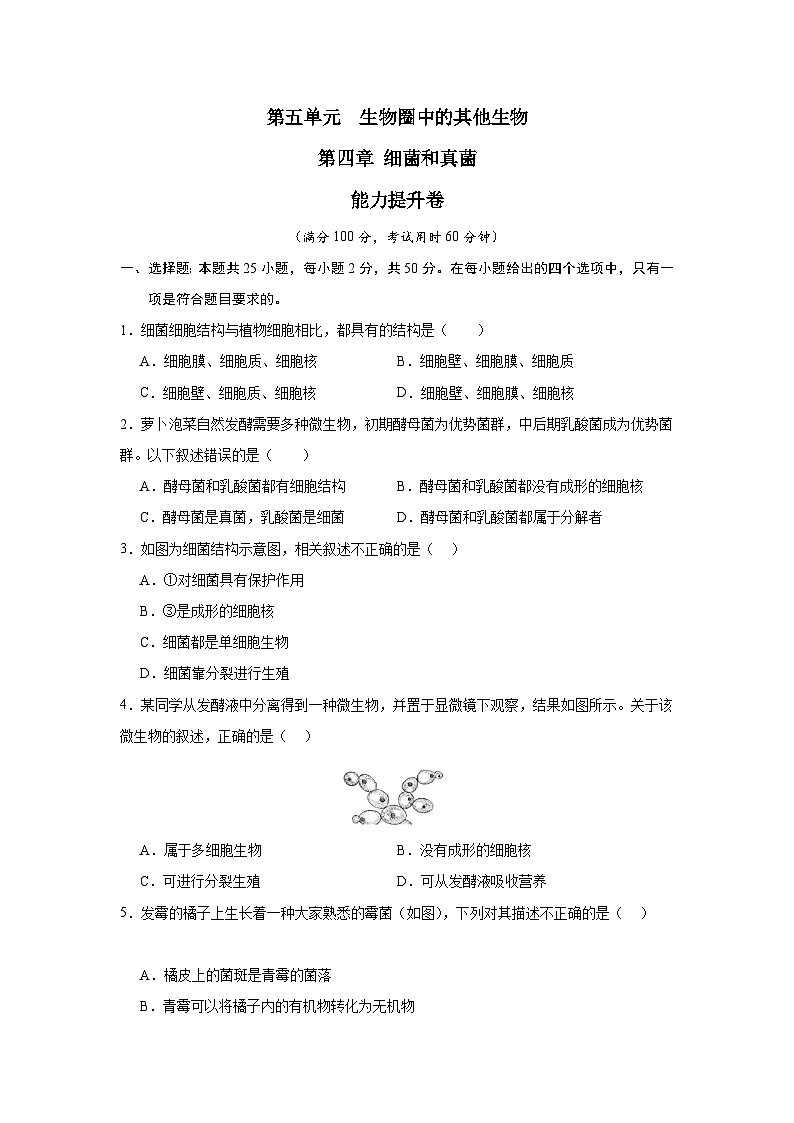 【期中单元测试卷】（人教版）八年级生物上册 第四章+细菌和真菌【提升卷】01