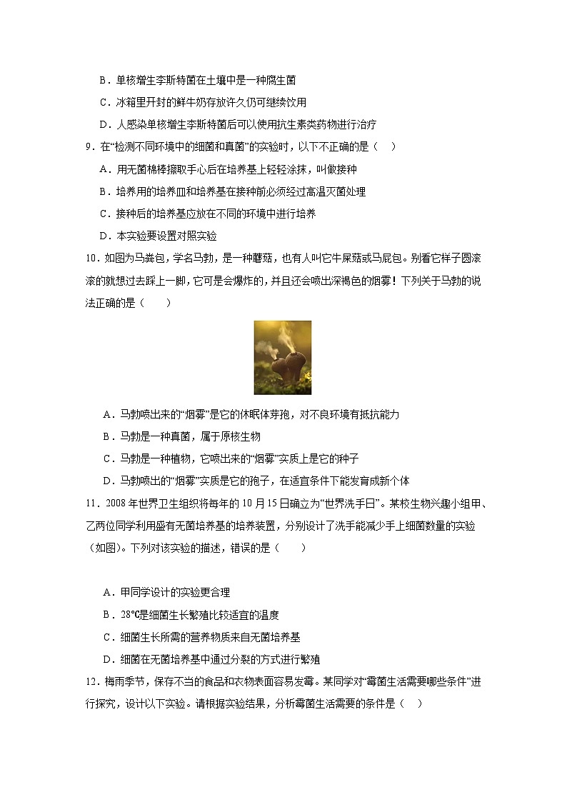 【期中单元测试卷】（人教版）八年级生物上册 第四章+细菌和真菌【提升卷】03