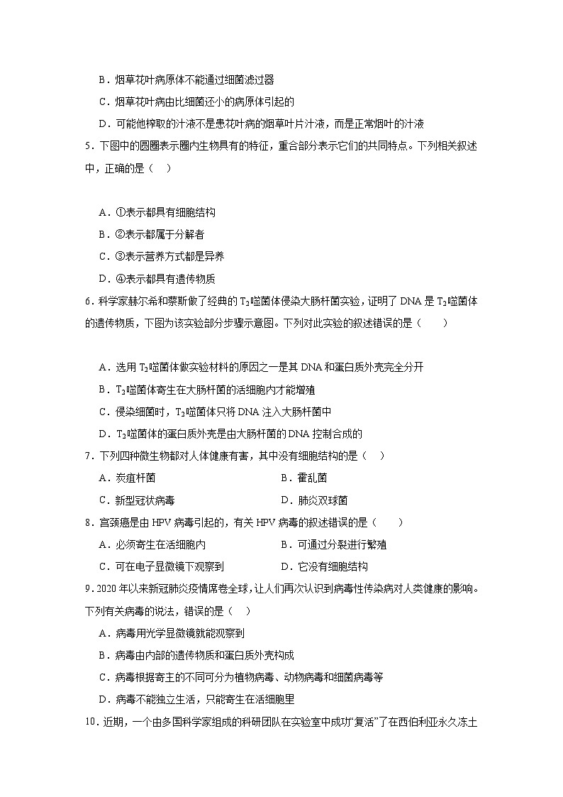 【期中单元测试卷】（人教版）八年级生物上册 第五章+病毒【基础卷】02