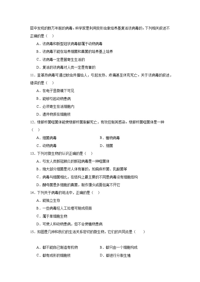 【期中单元测试卷】（人教版）八年级生物上册 第五章+病毒【基础卷】03