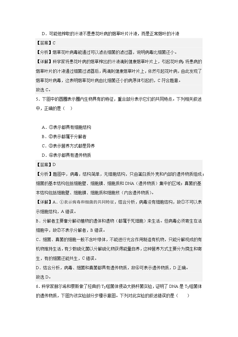 【期中单元测试卷】（人教版）八年级生物上册 第五章+病毒【基础卷】03