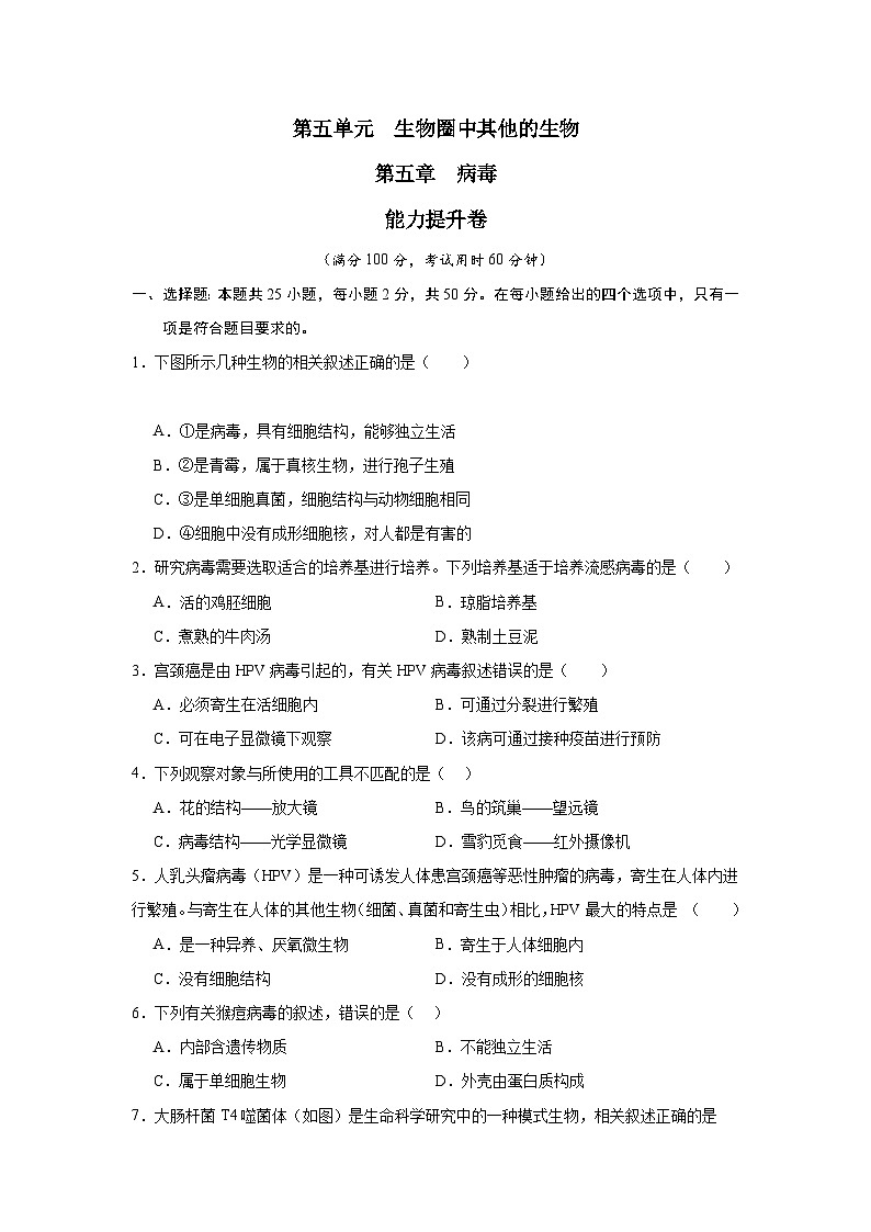 【期中单元测试卷】（人教版）八年级生物上册 第五章+病毒【提升卷】01
