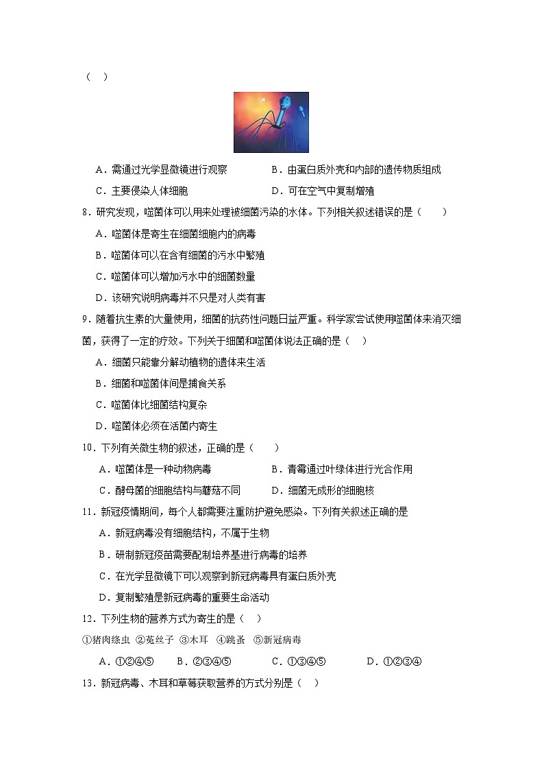 【期中单元测试卷】（人教版）八年级生物上册 第五章+病毒【提升卷】02