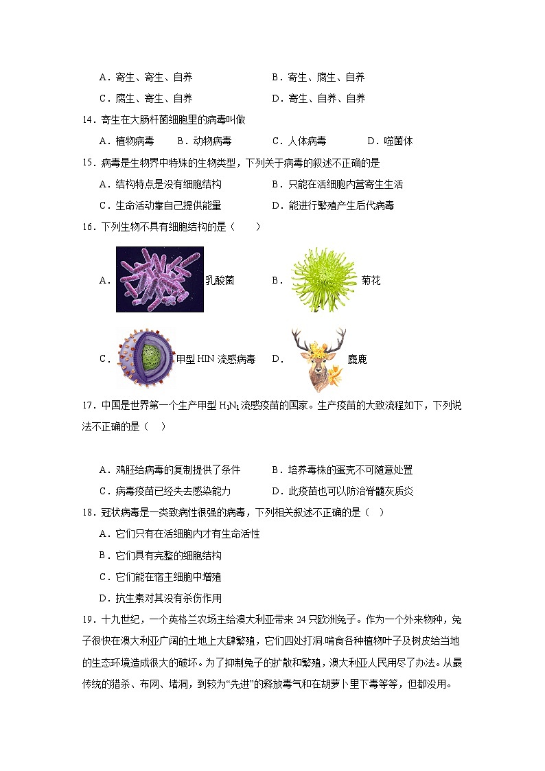 【期中单元测试卷】（人教版）八年级生物上册 第五章+病毒【提升卷】03