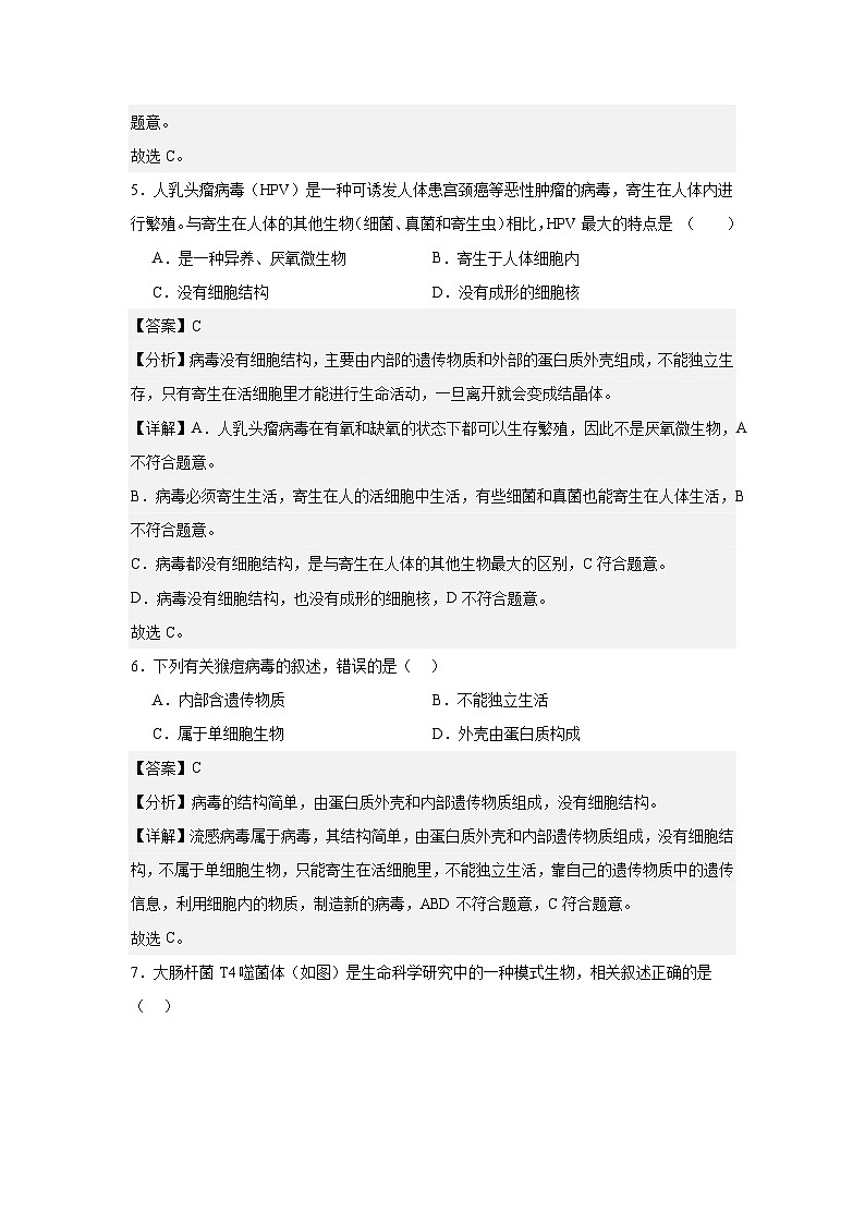 【期中单元测试卷】（人教版）八年级生物上册 第五章+病毒【提升卷】03