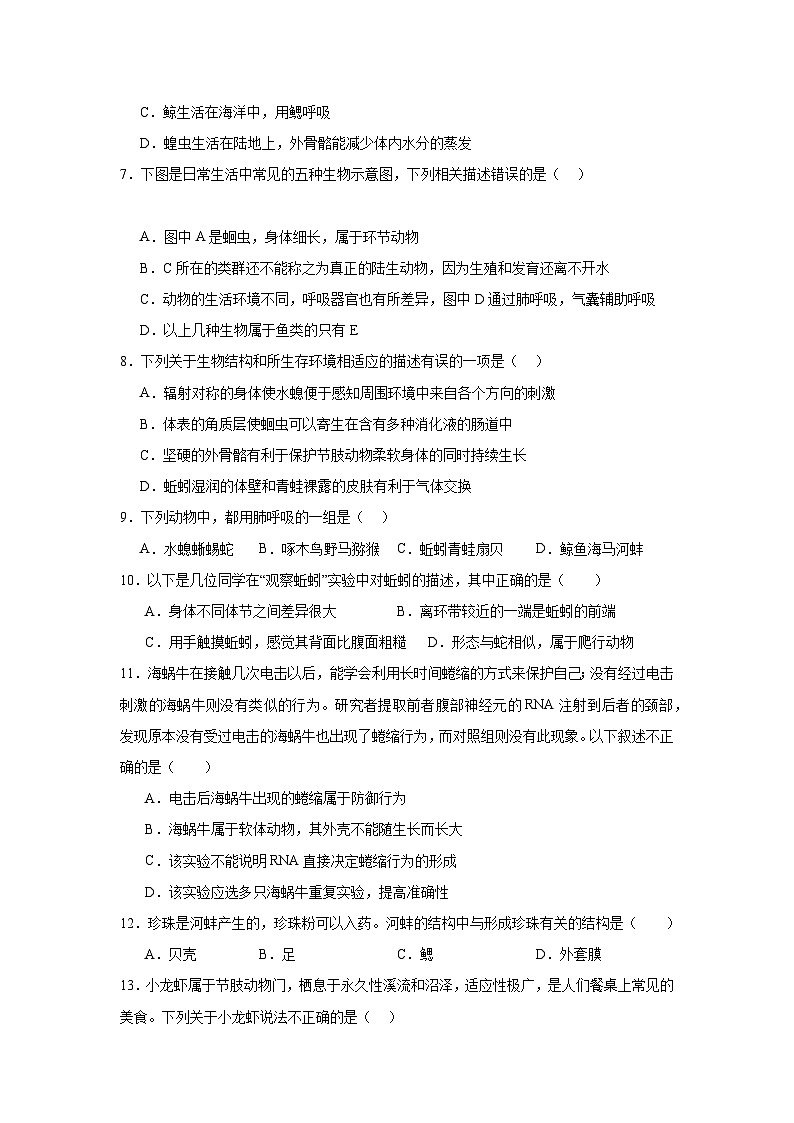 【期中单元测试卷】（人教版）八年级生物上册 第一章+动物的主要类型【基础卷】02