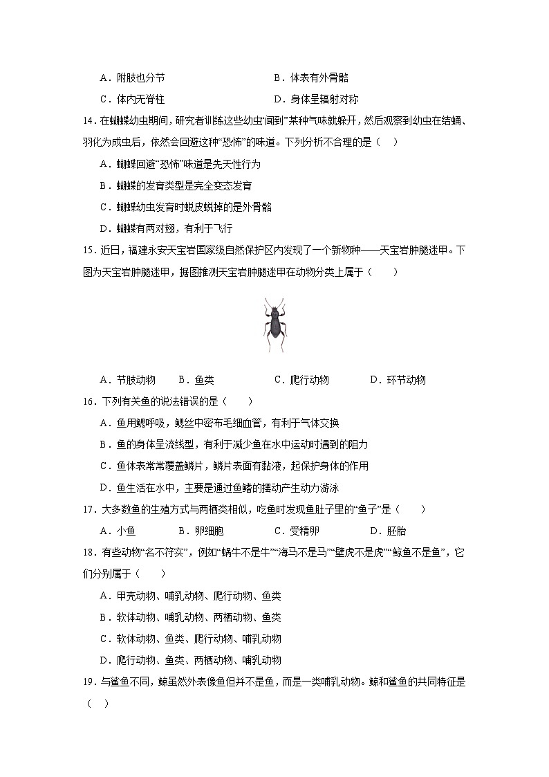 【期中单元测试卷】（人教版）八年级生物上册 第一章+动物的主要类型【基础卷】03