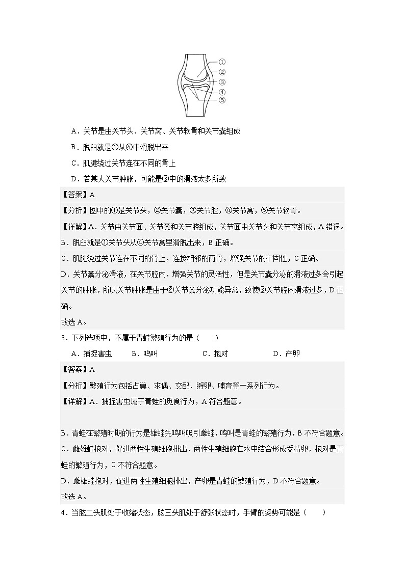 【期中单元测试卷】（人教版）八年级生物上册 第二、三章+动物的运动和行为、动物在生物圈中的作用【基础卷】02