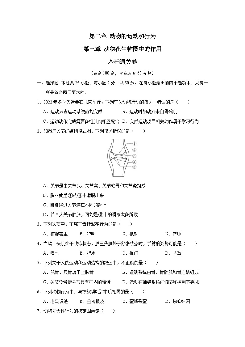 【期中单元测试卷】（人教版）2023-2024学年八年级生物上册 第二、三章+动物的运动和行为、动物在生物圈中的作用【基础卷】01