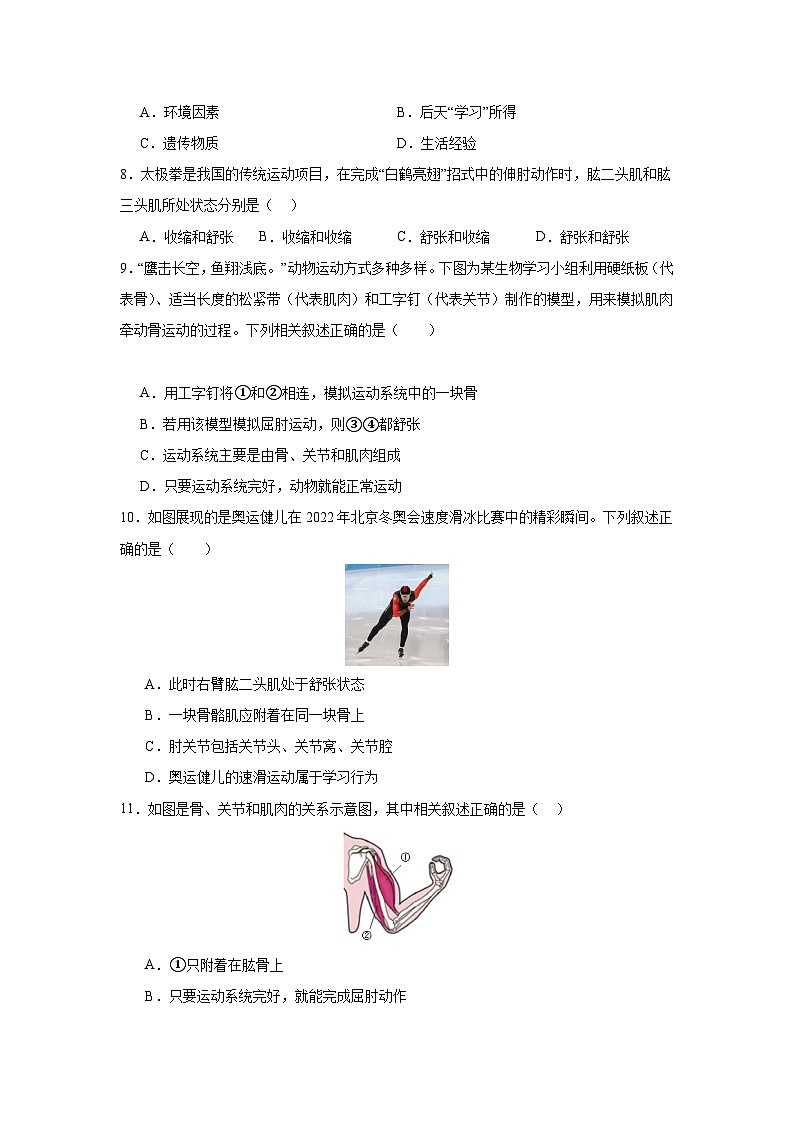 【期中单元测试卷】（人教版）八年级生物上册 第二、三章+动物的运动和行为、动物在生物圈中的作用【基础卷】02