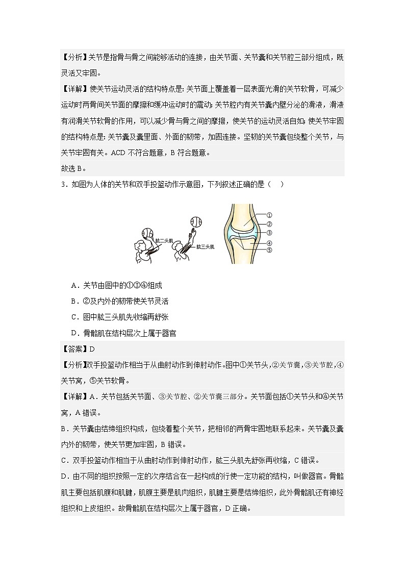 【期中单元测试卷】（人教版）八年级生物上册 第二、三章+动物的运动和行为、动物在生物圈中的作用【提升卷】02