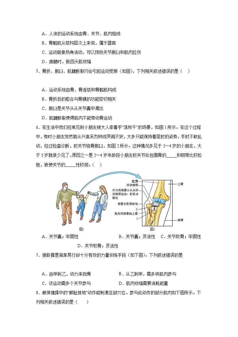 【期中单元测试卷】（人教版）八年级生物上册 第二、三章+动物的运动和行为、动物在生物圈中的作用【提升卷】02