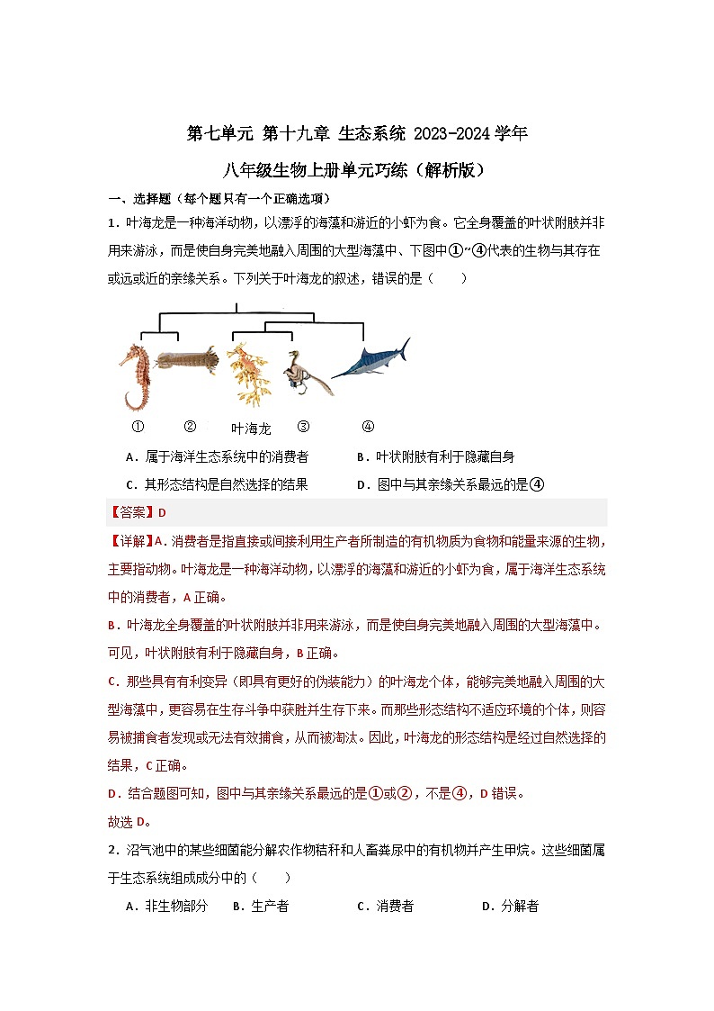 【期中单元测试卷】（苏教版）2023-2024学年八年级生物上册 第十九章 生态系统 单元测试卷01