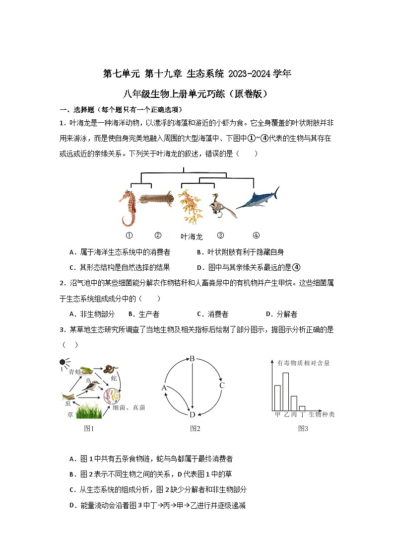 【期中单元测试卷】（苏教版）2023-2024学年八年级生物上册 第十九章 生态系统 单元测试卷01