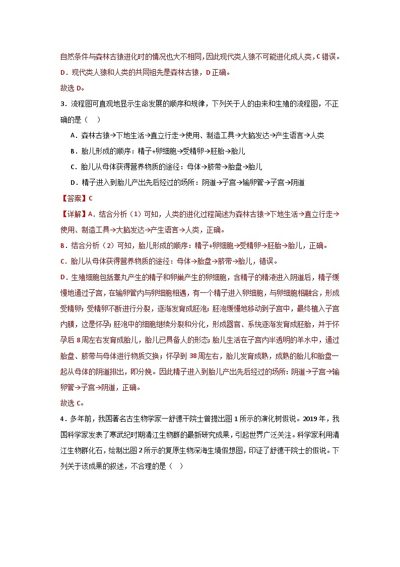 【期中单元测试卷】（苏教版）2023-2024学年八年级生物上册 第十六章 生命起源和生物进化 单元测试卷02