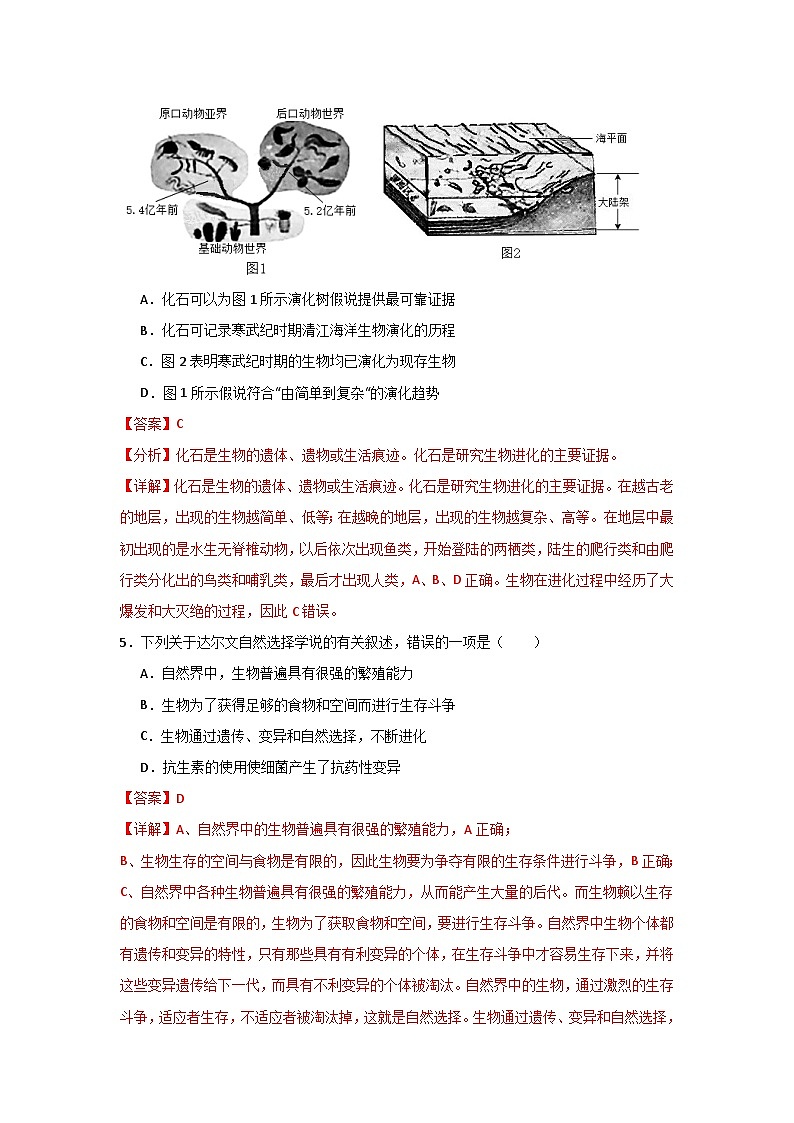 【期中单元测试卷】（苏教版）2023-2024学年八年级生物上册 第十六章 生命起源和生物进化 单元测试卷03