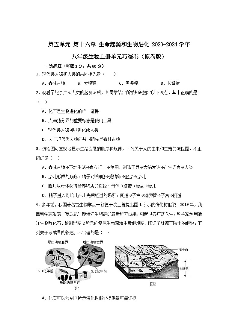 【期中单元测试卷】（苏教版）2023-2024学年八年级生物上册 第十六章 生命起源和生物进化 单元测试卷01