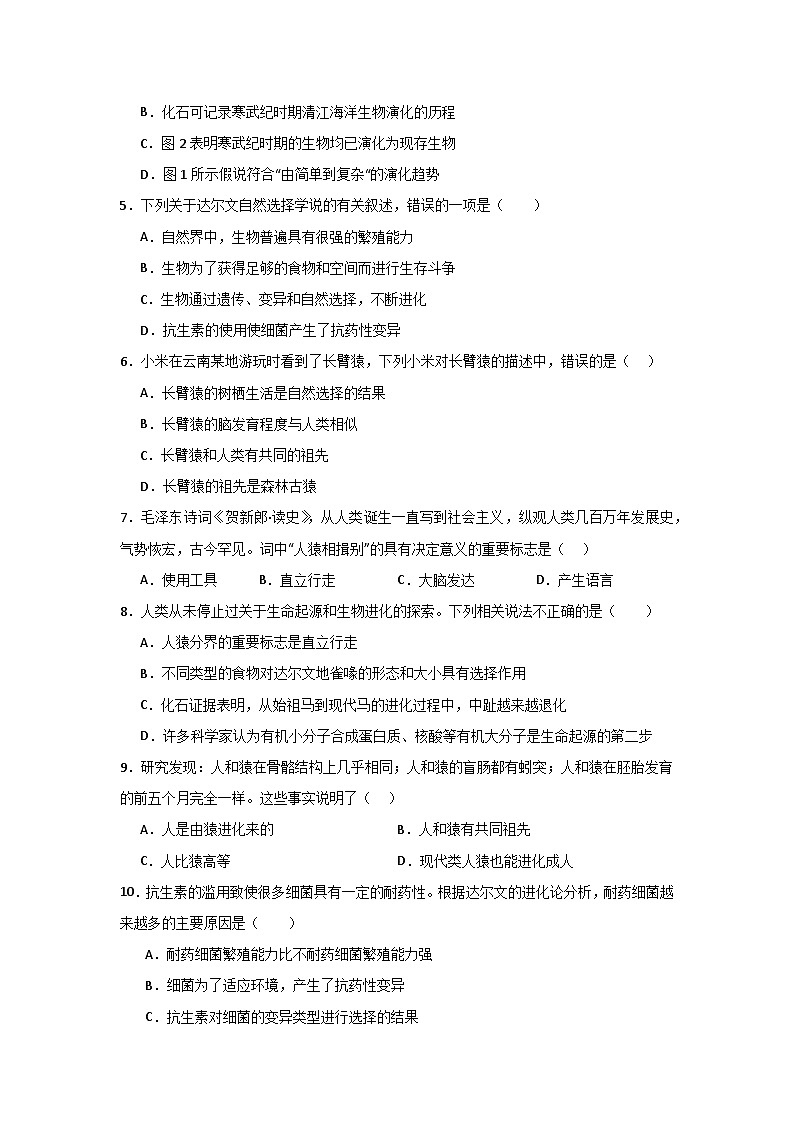 【期中单元测试卷】（苏教版）2023-2024学年八年级生物上册 第十六章 生命起源和生物进化 单元测试卷02
