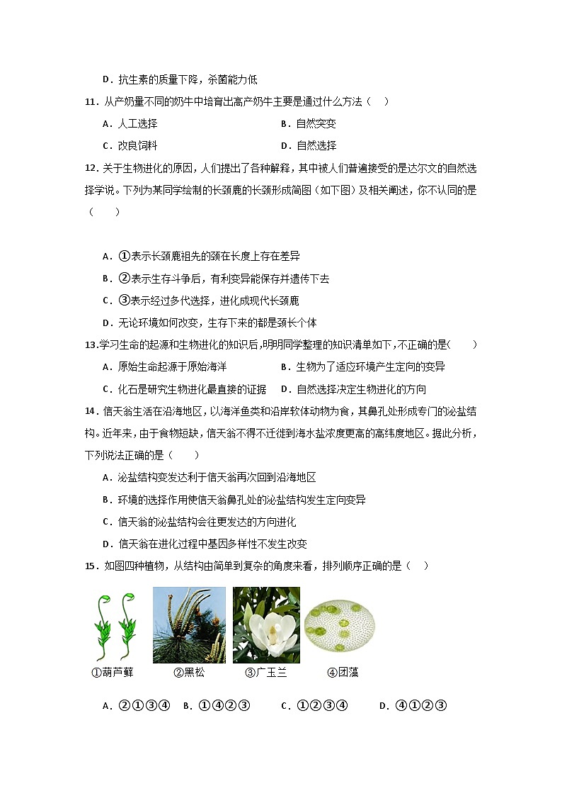【期中单元测试卷】（苏教版）2023-2024学年八年级生物上册 第十六章 生命起源和生物进化 单元测试卷03