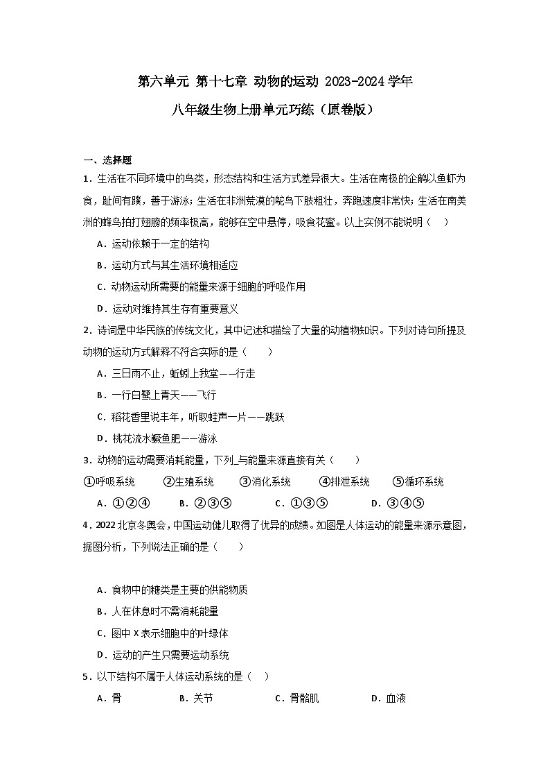 【期中单元测试卷】（苏教版）2023-2024学年八年级生物上册 第十七章 动物的运动 单元测试卷01