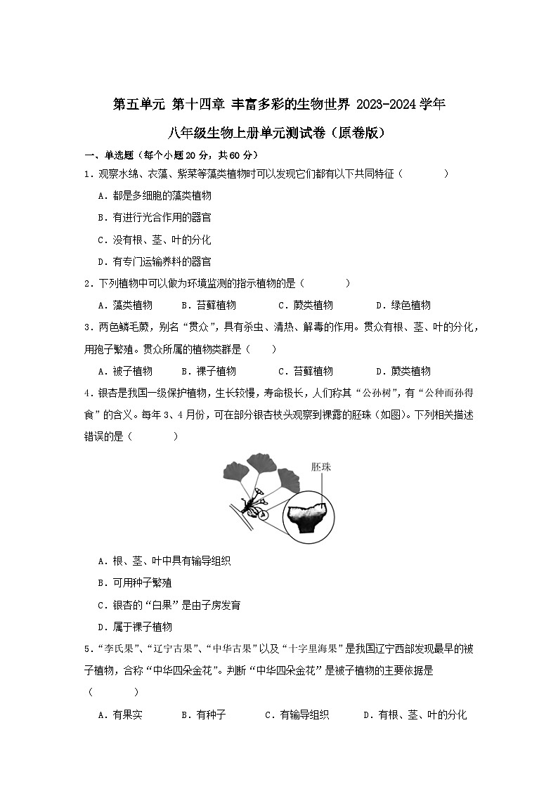 【期中单元测试卷】（苏教版）2023-2024学年八年级生物上册 第十四章 丰富多彩的生物世界 单元测试卷01