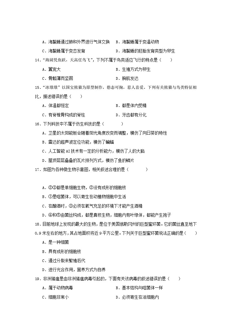 【期中单元测试卷】（苏教版）2023-2024学年八年级生物上册 第十四章 丰富多彩的生物世界 单元测试卷03
