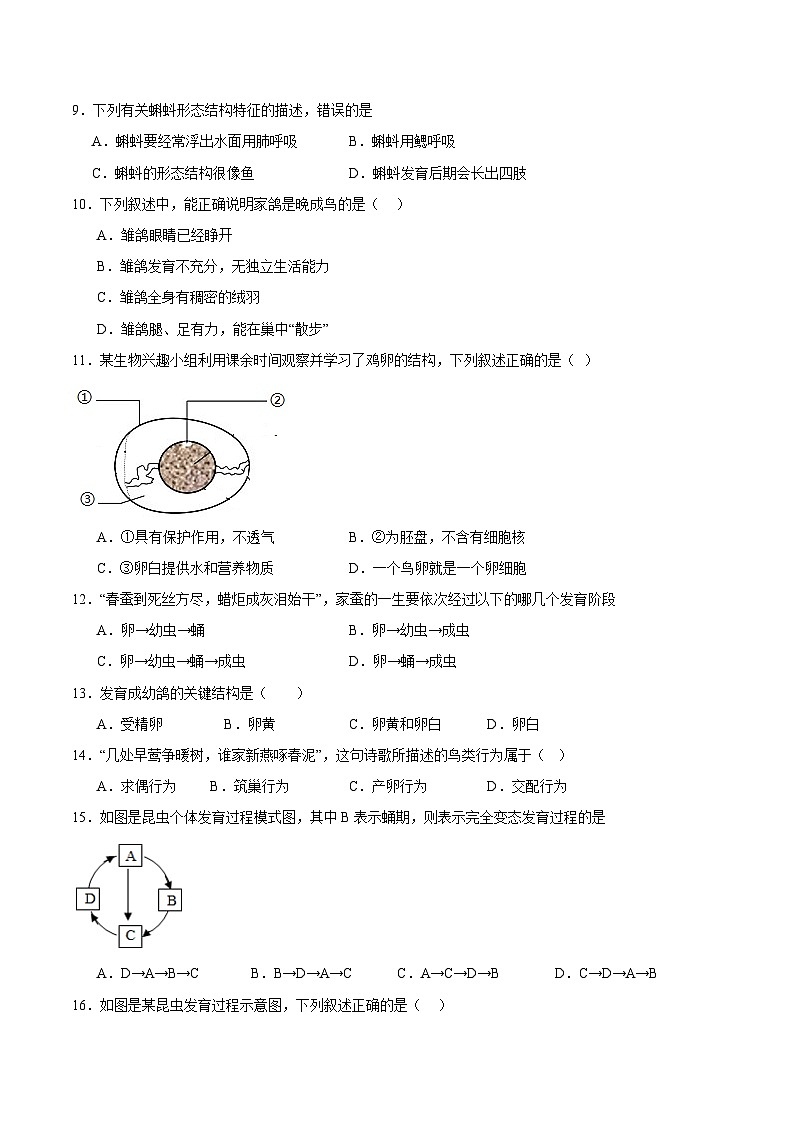 【期中单元测试卷】（苏科版）2023-2024学年八年级生物上册 第二十章+动物的生殖和发育 单元测试卷02