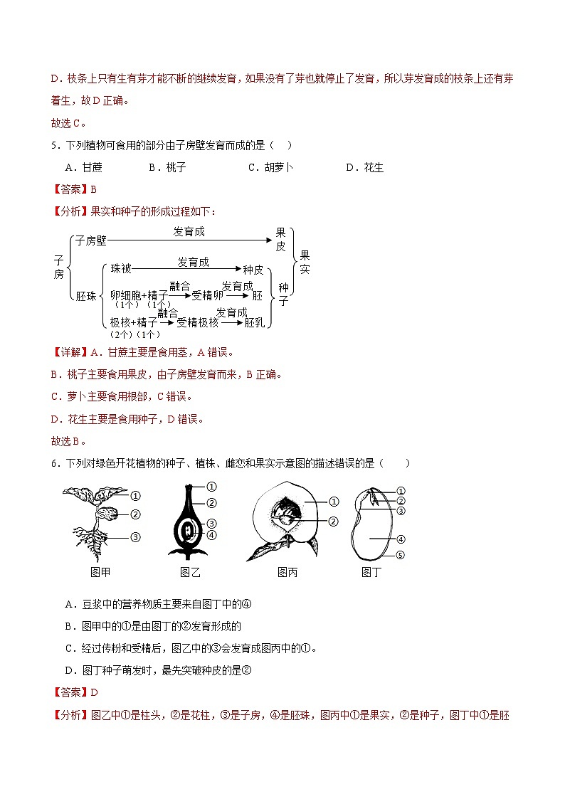 【期中单元测试卷】（苏科版）2023-2024学年八年级生物上册 第十九章+植物的生殖和发育 单元测试卷03