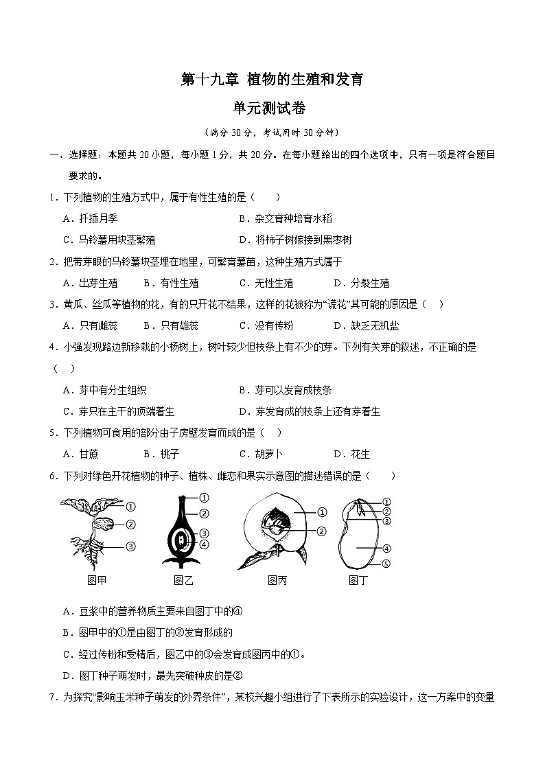 【期中单元测试卷】（苏科版）2023-2024学年八年级生物上册 第十九章+植物的生殖和发育 单元测试卷01