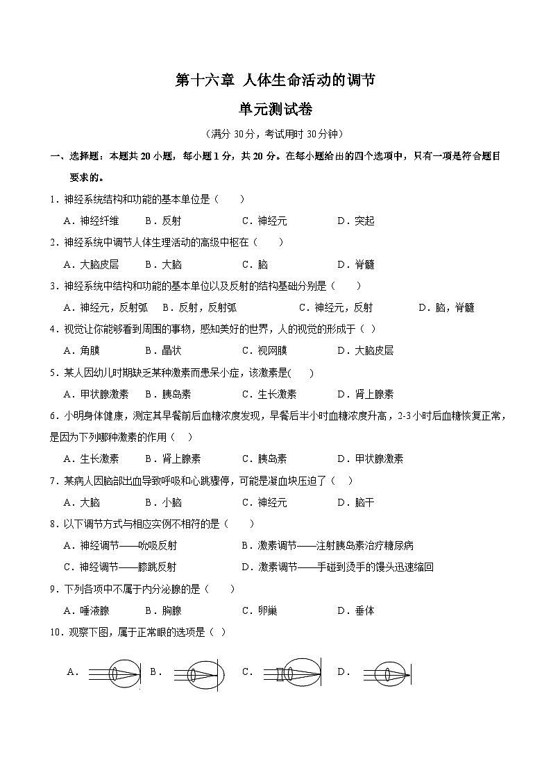 【期中单元测试卷】（苏科版）2023-2024学年八年级生物上册 第十六章+人体生命活动的调节 单元测试卷01