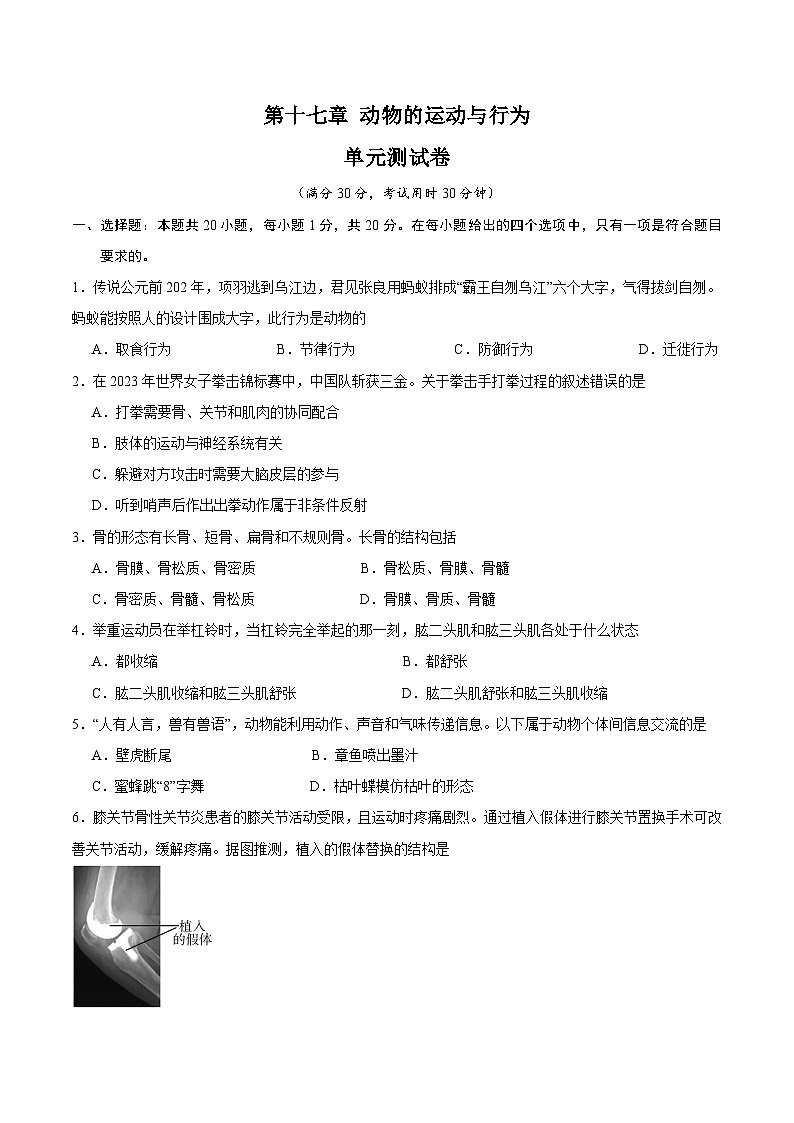 【期中单元测试卷】（苏科版）2023-2024学年八年级生物上册 第十七章+动物的运动和行为 单元测试卷01