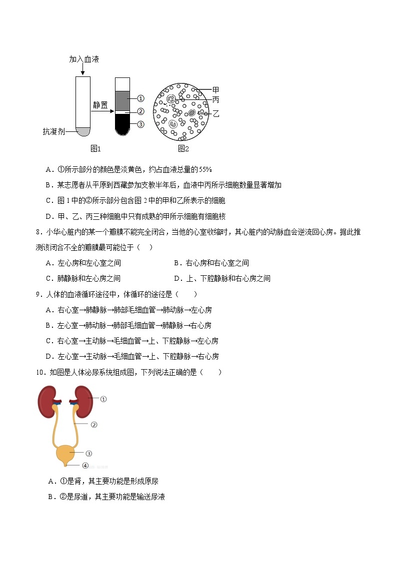 【期中单元测试卷】（苏科版）2023-2024学年八年级生物上册 第十五章+人体内平衡的维持 单元测试卷02