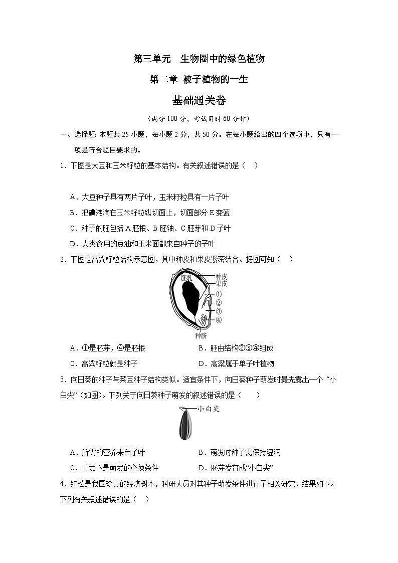 【期中单元测试卷】（人教版）2023-2024学年七年级生物上册 第二章 被子植物的一生【基础卷】（原卷版）第1页